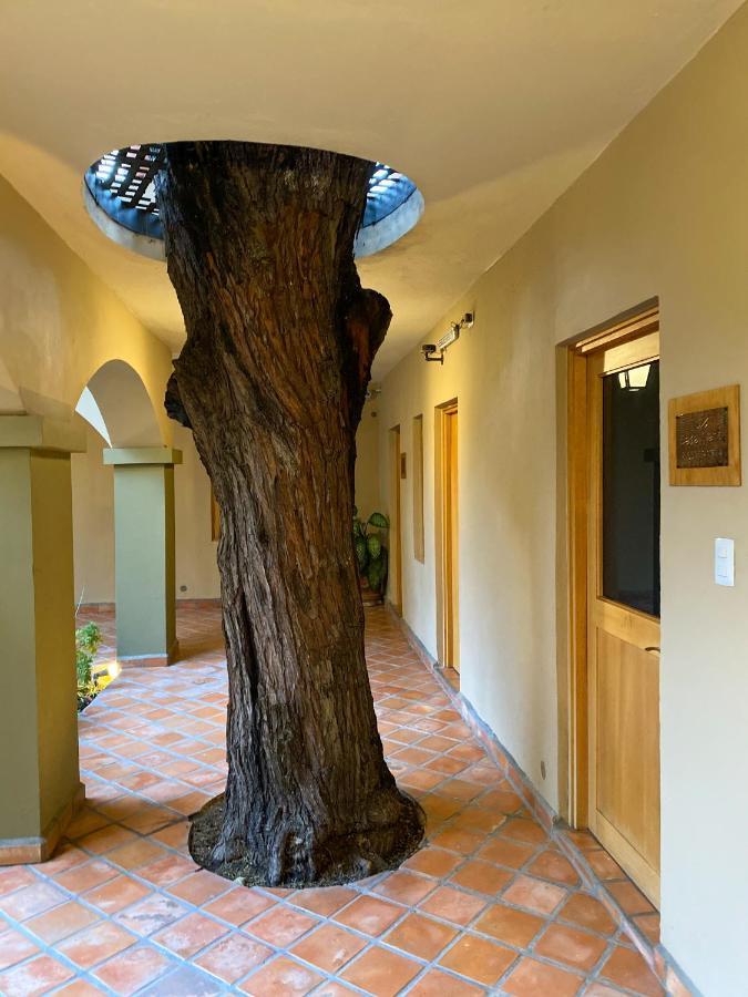 Casa Nare Adults Only Hotell San Miguel de Allende Exteriör bild