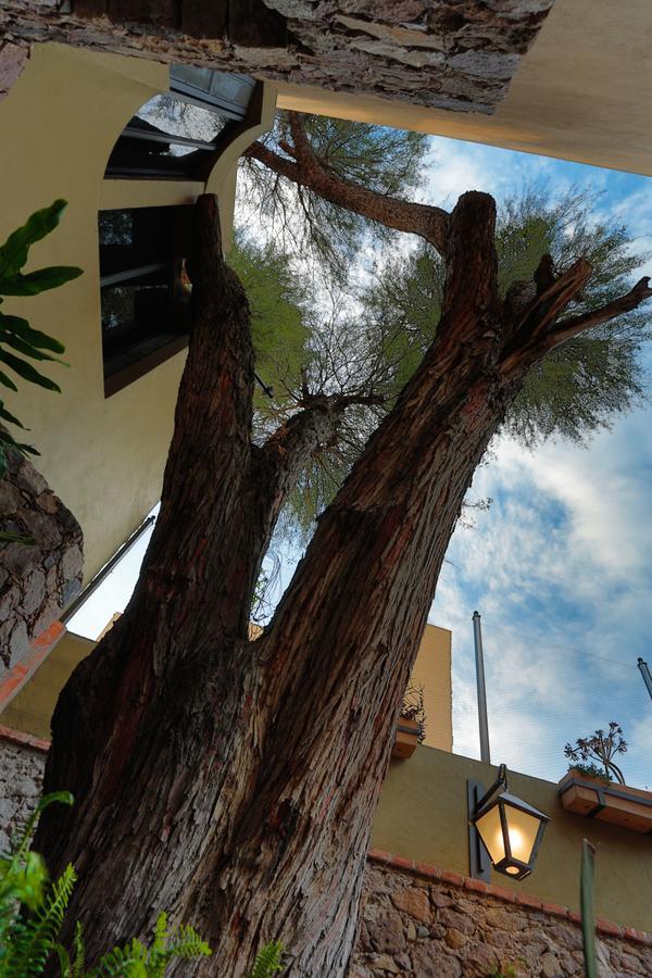 Casa Nare Adults Only Hotell San Miguel de Allende Exteriör bild